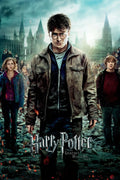 Harry Potter 8: Harry Potter and the Deathly Hallows Part 2 (2011)