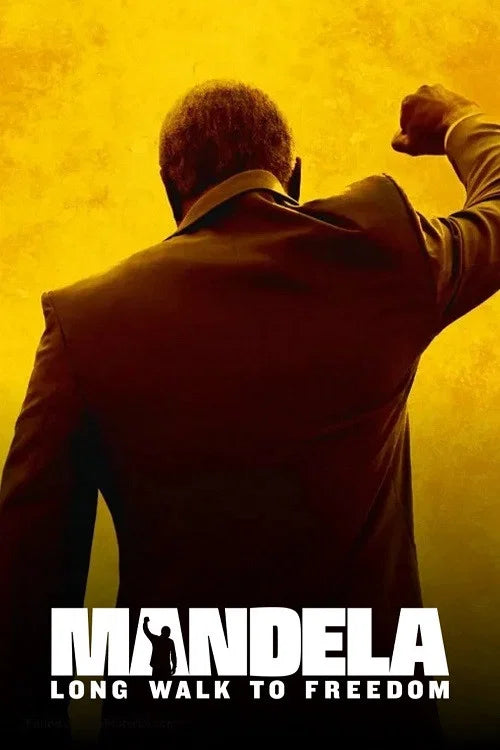 Mandela: Long Walk to Freedom (2013)